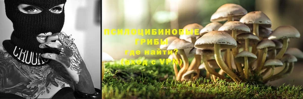 альфа пвп Лиски