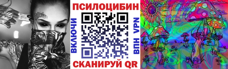 Галлюциногенные грибы Psilocybe  Купить закладки  Павловская 